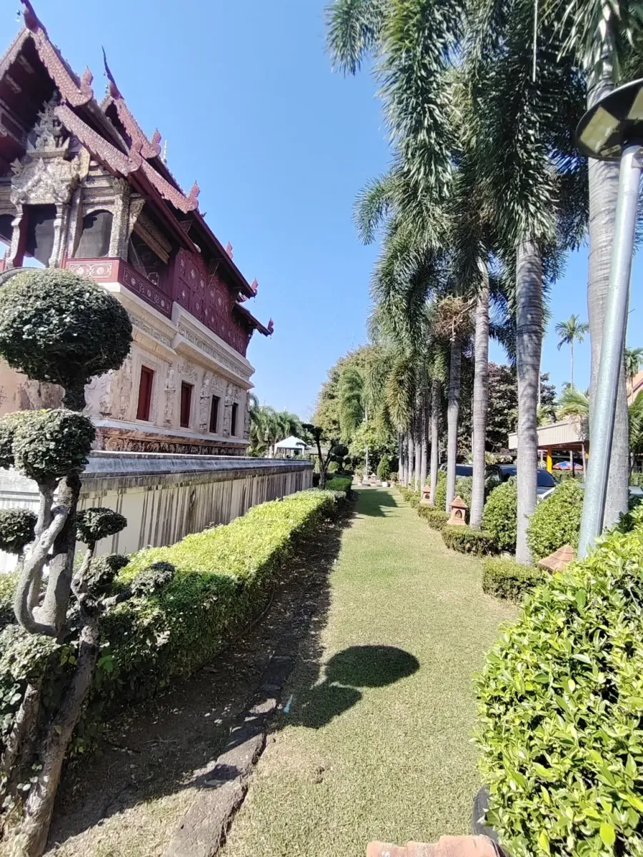 260131_chiang_mai_094