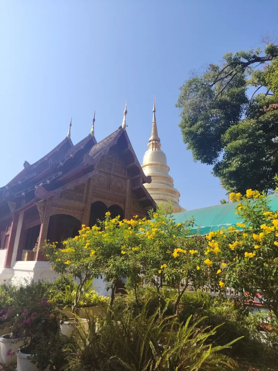 260131_chiang_mai_099