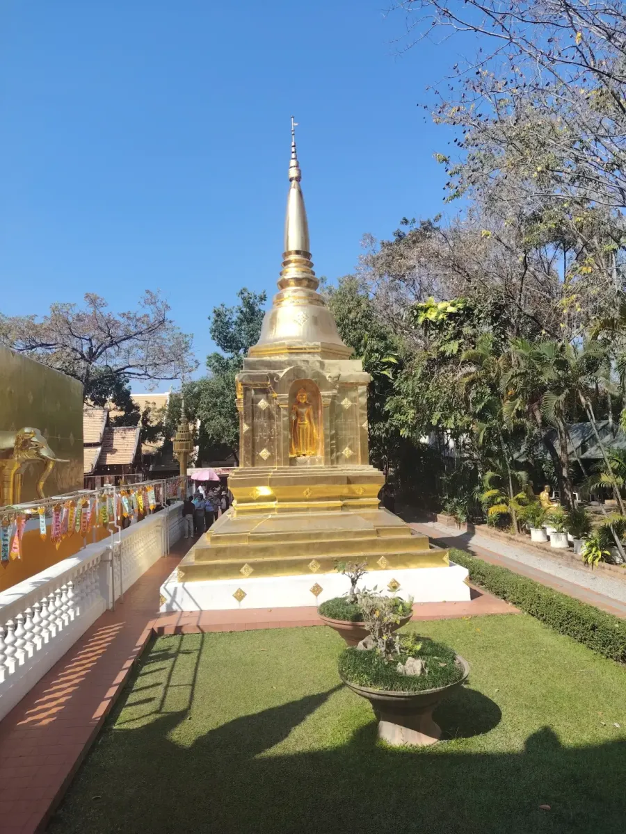 260131_chiang_mai_130