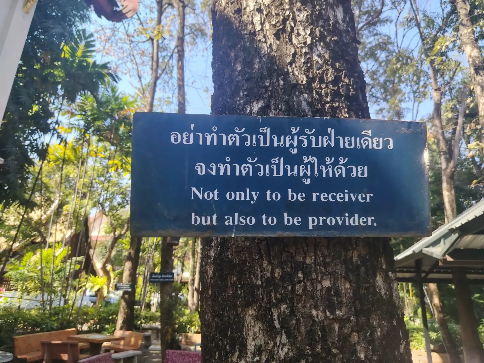 260131_chiang_mai_159