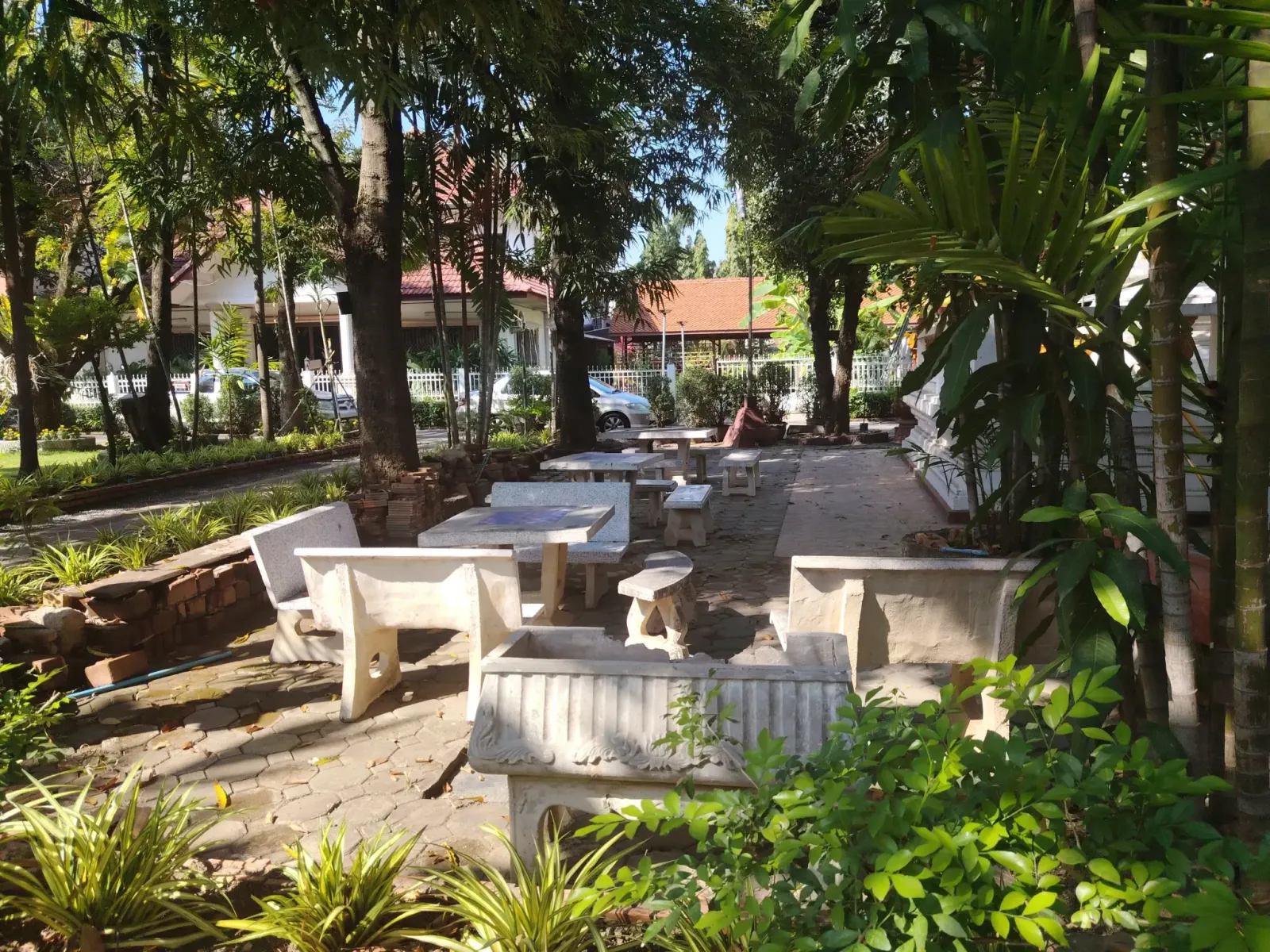 260131_chiang_mai_169