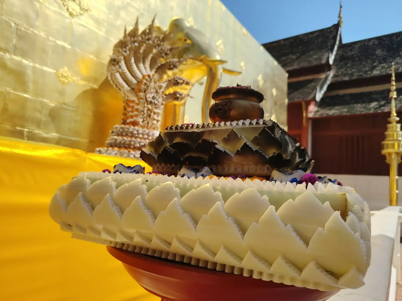 260131_chiang_mai_187