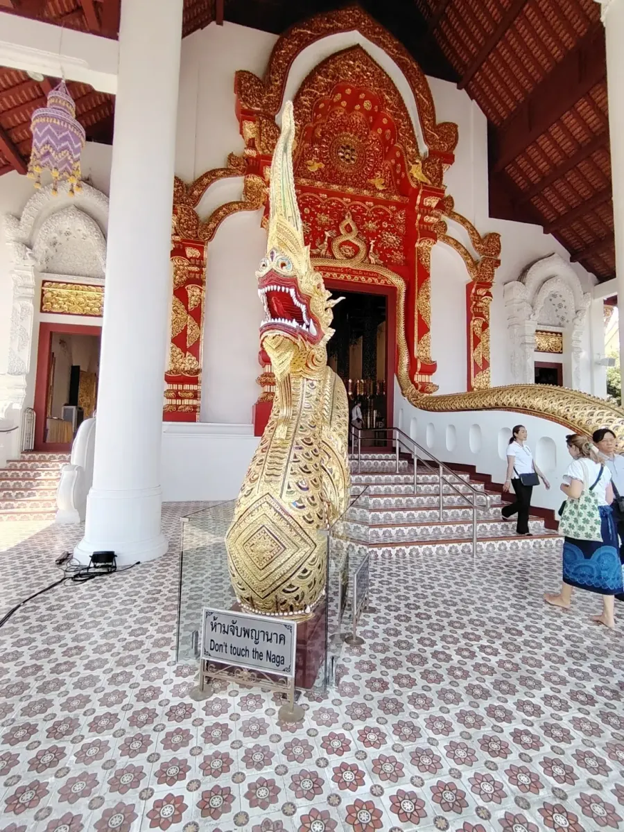 260131_chiang_mai_330