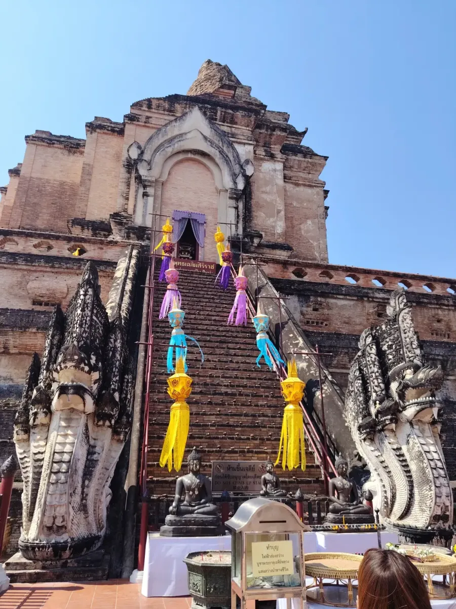 260131_chiang_mai_393