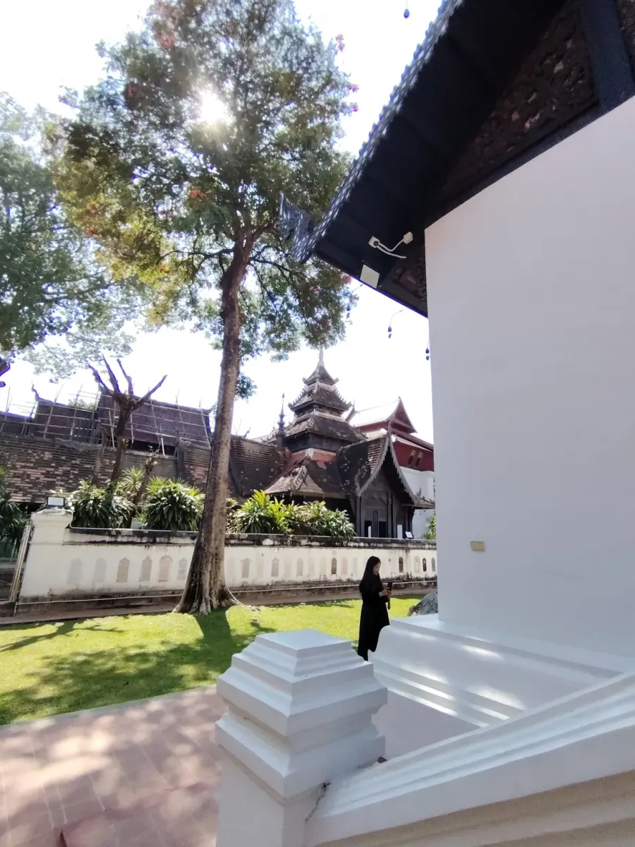 260131_chiang_mai_464