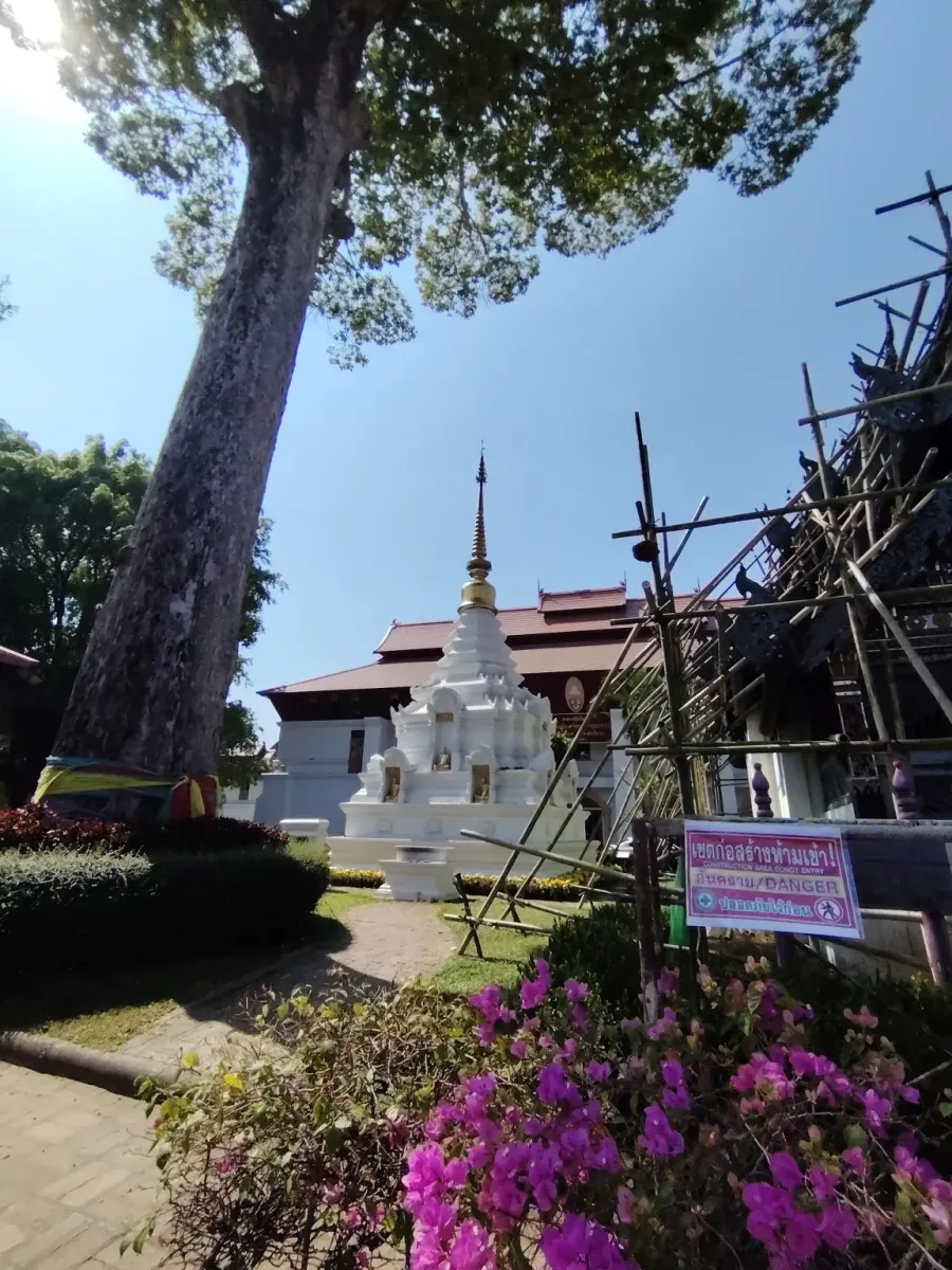 260131_chiang_mai_476
