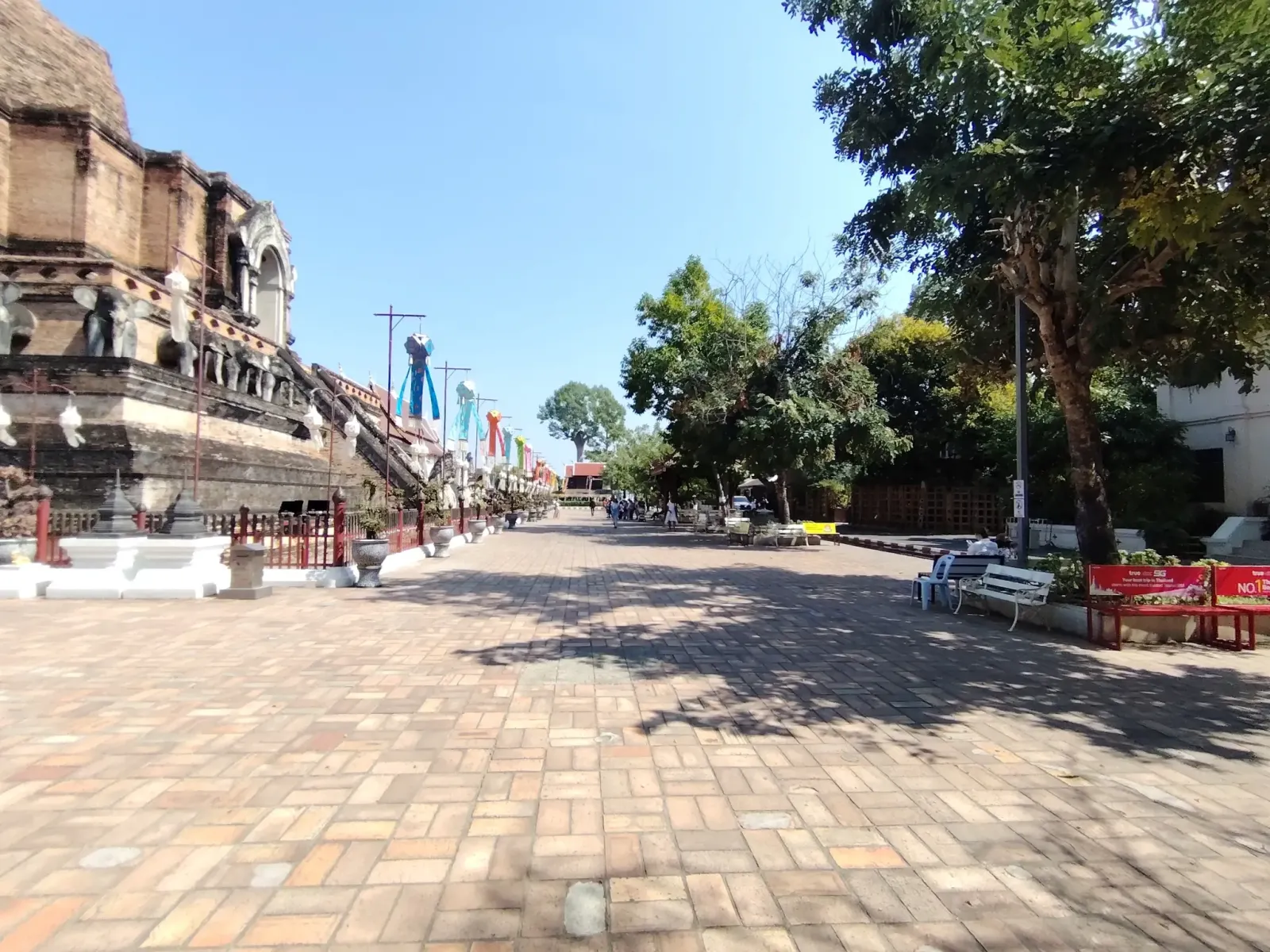 260131_chiang_mai_477