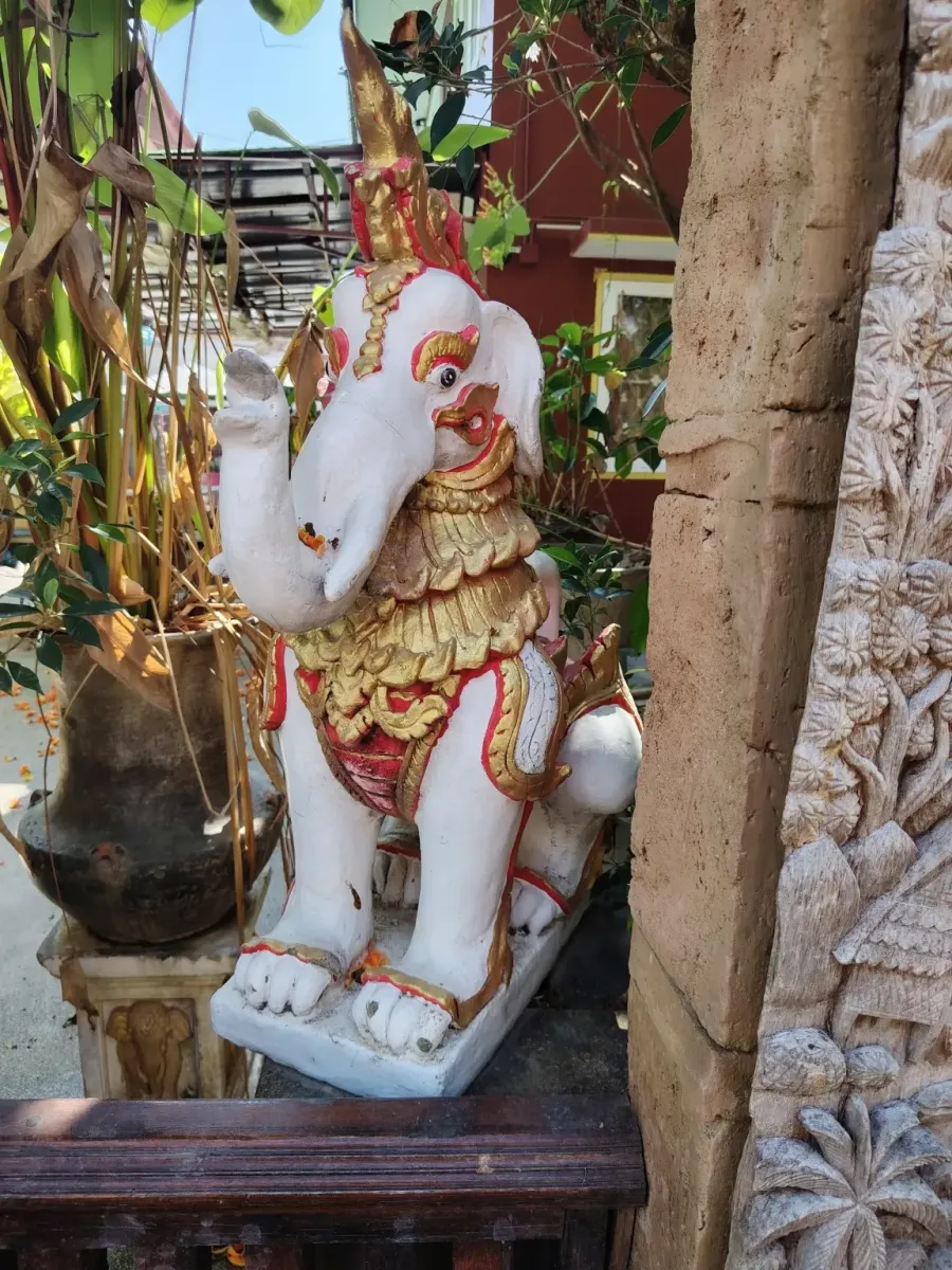 260131_chiang_mai_486