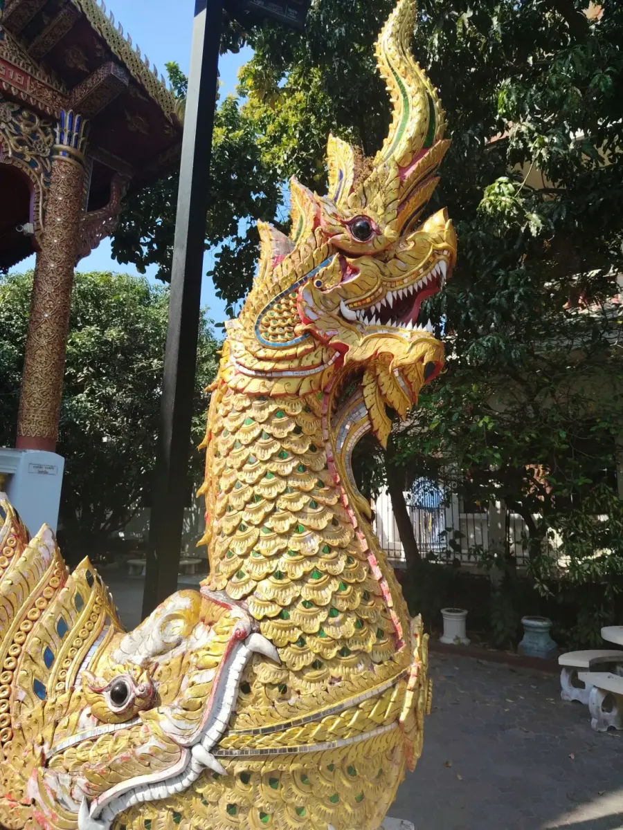260131_chiang_mai_521