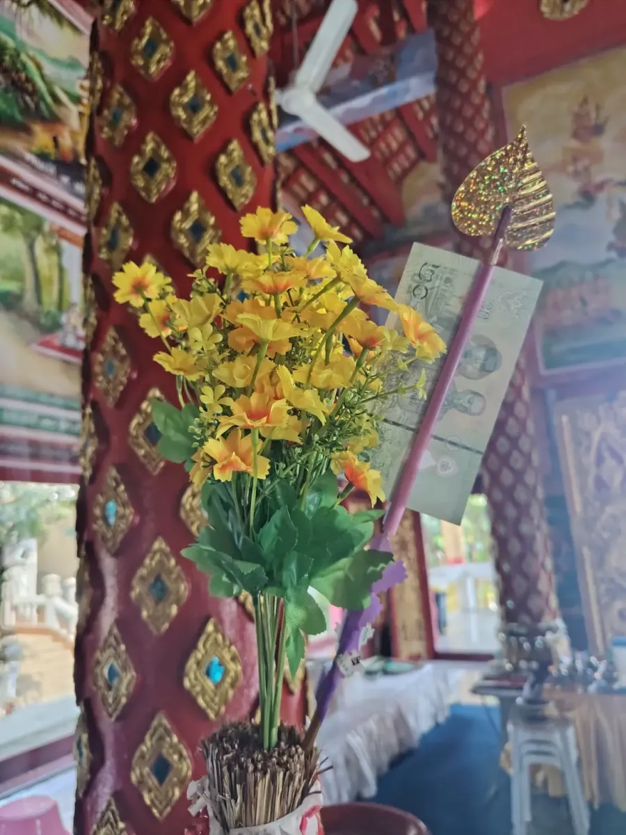 260131_chiang_mai_541