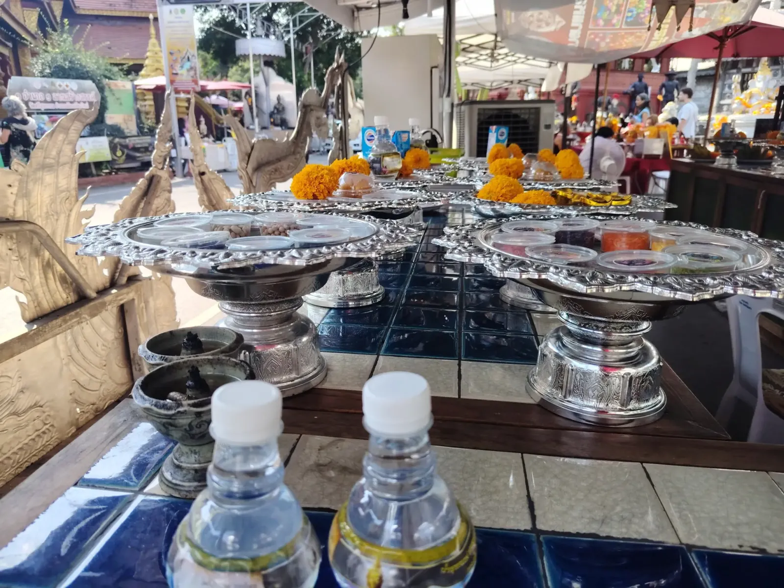 260131_chiang_mai_566