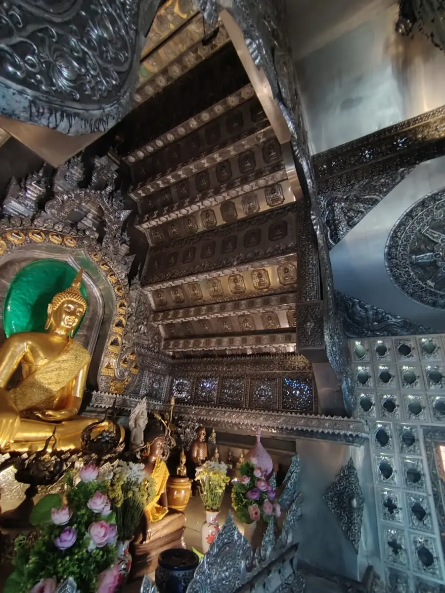 260131_chiang_mai_625