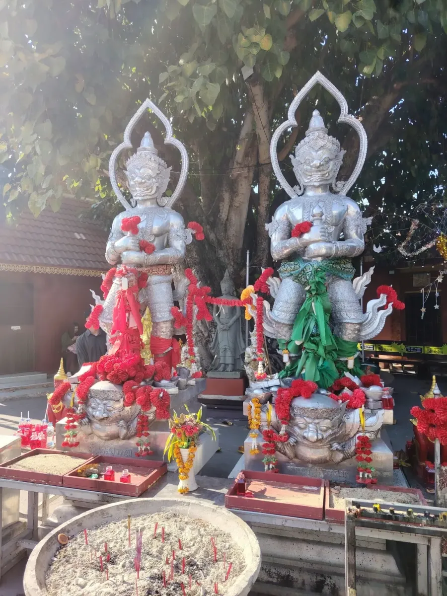 260131_chiang_mai_666