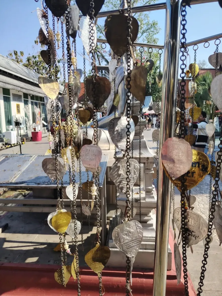 260131_chiang_mai_679