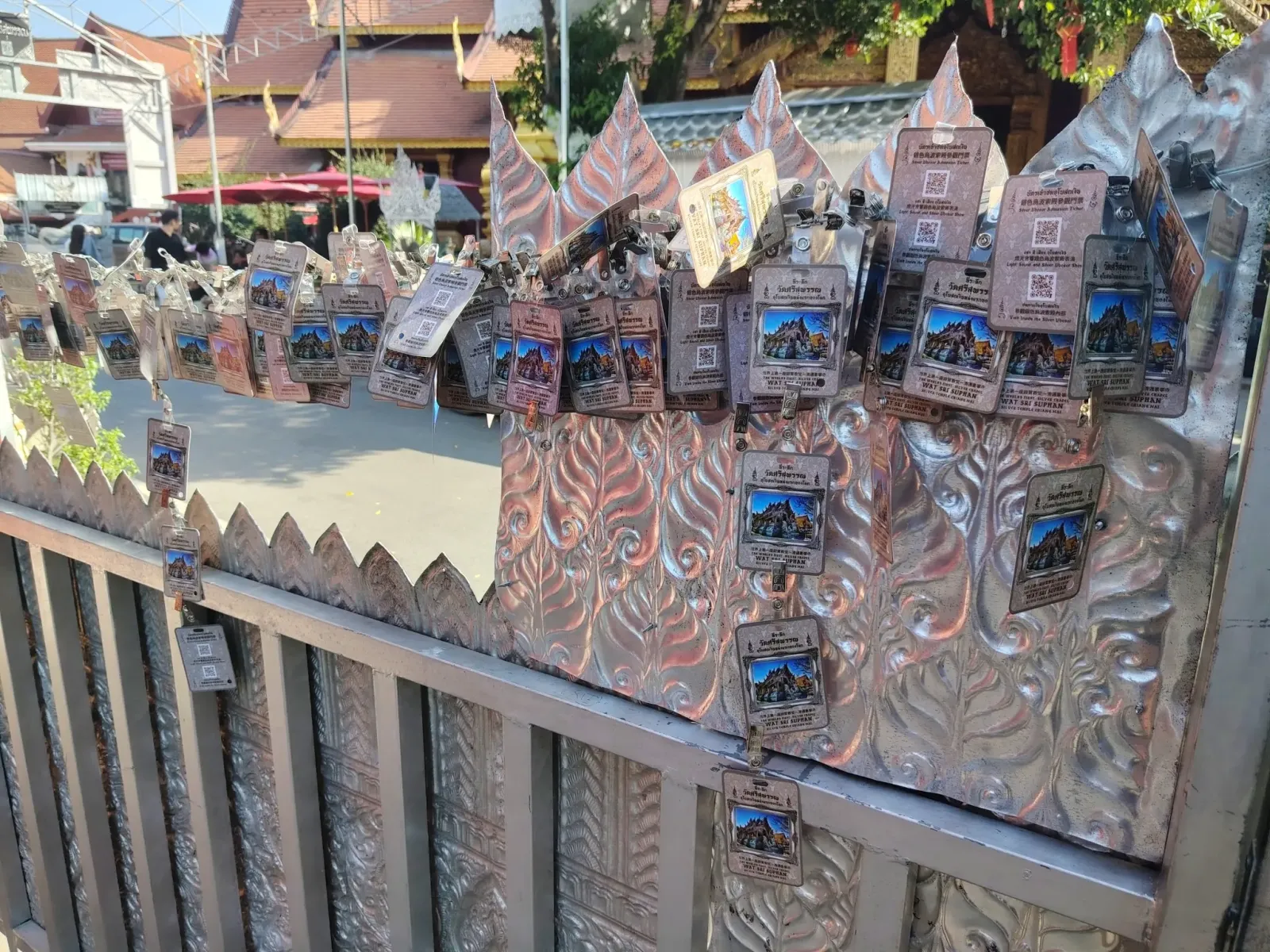 260131_chiang_mai_690