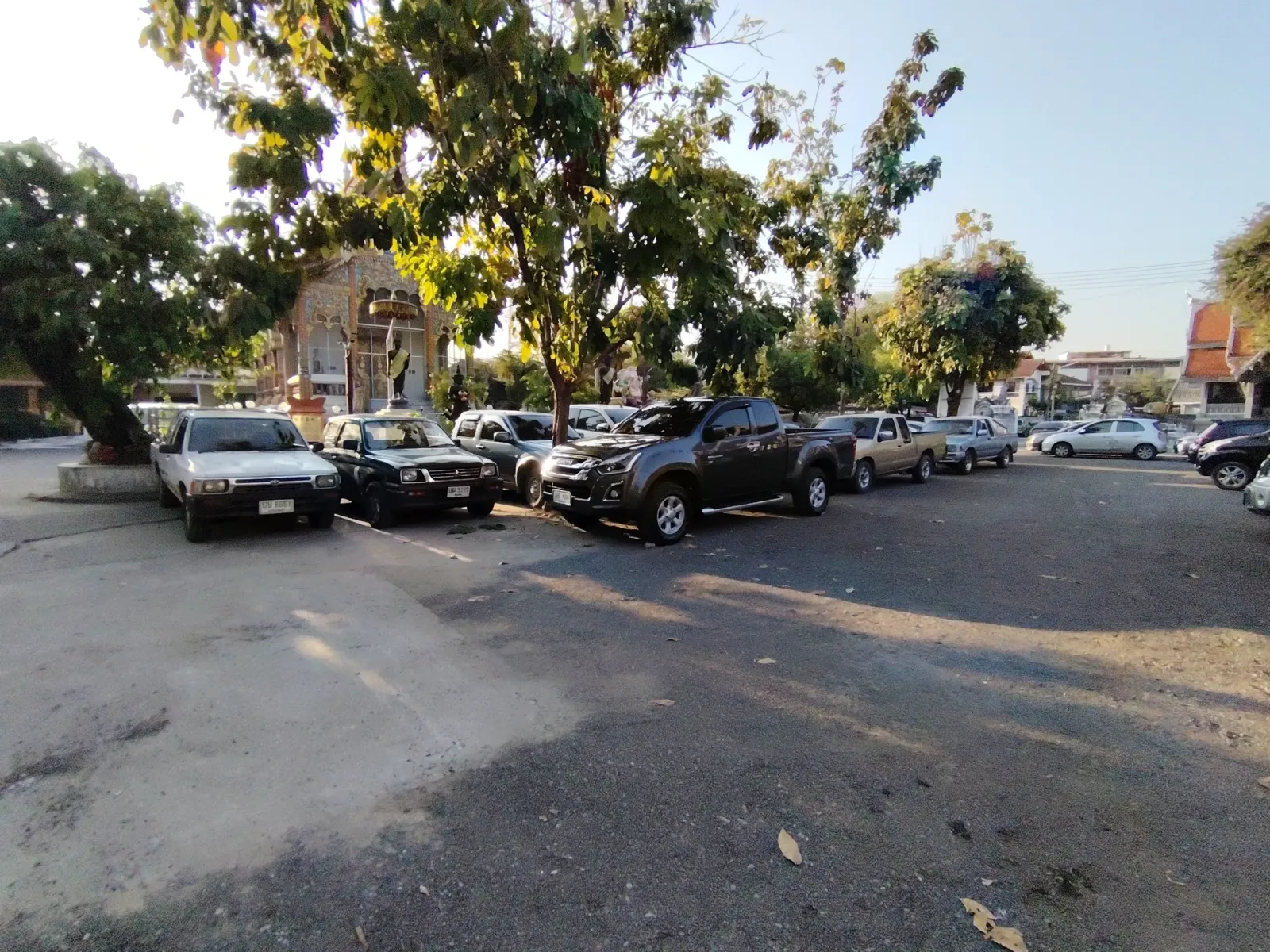 260131_chiang_mai_742