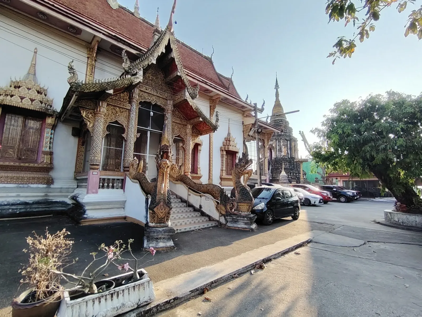 260131_chiang_mai_743