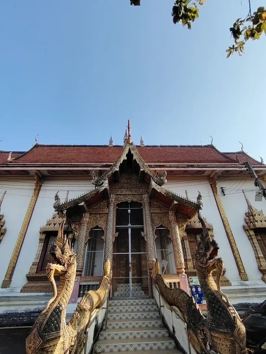 260131_chiang_mai_745