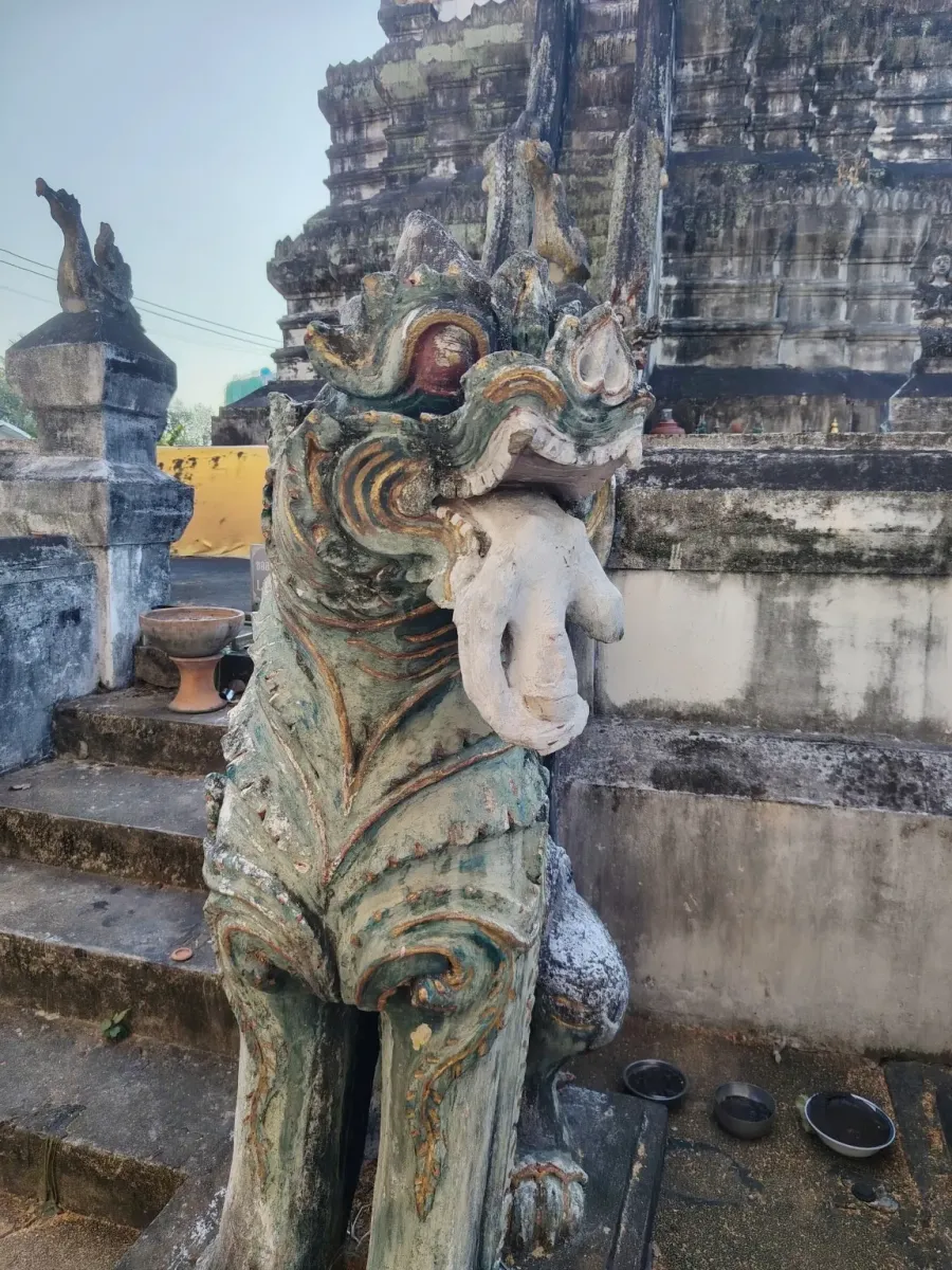 260131_chiang_mai_751