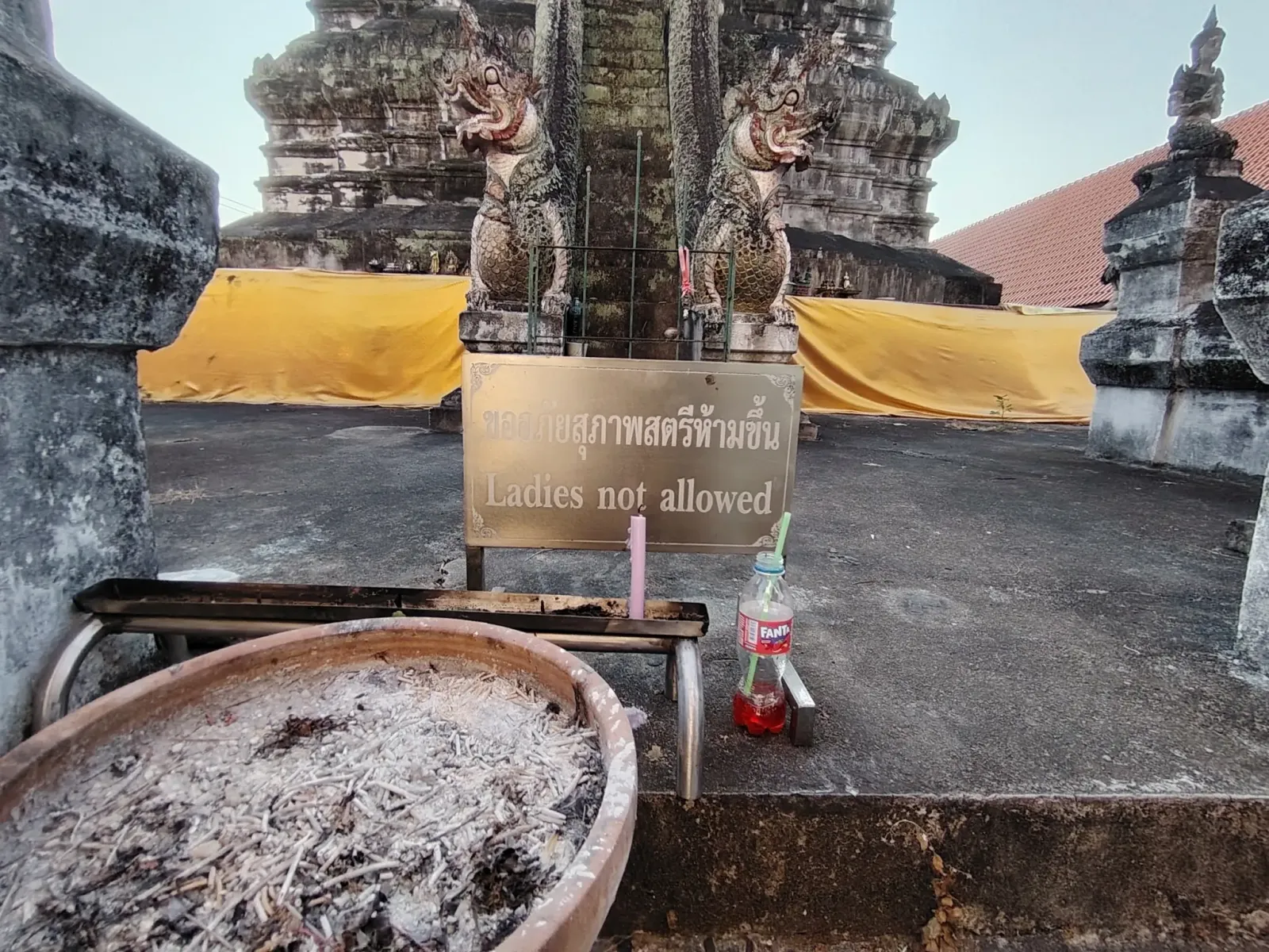 260131_chiang_mai_753