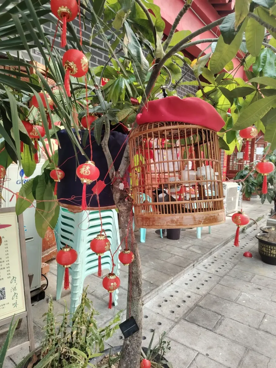 260326_golden_triangle_special_economic_zone_43