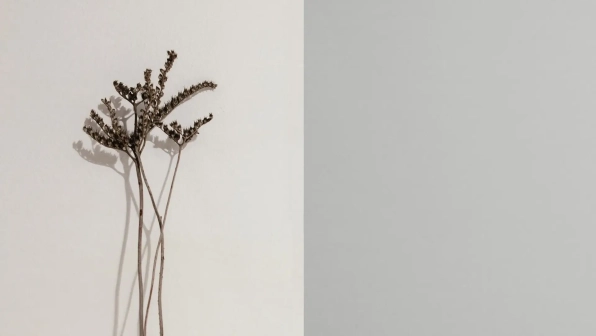 fi_019_minimalista_minimalist