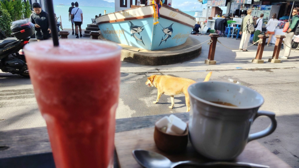 fi_120_koh_samui_smoothie