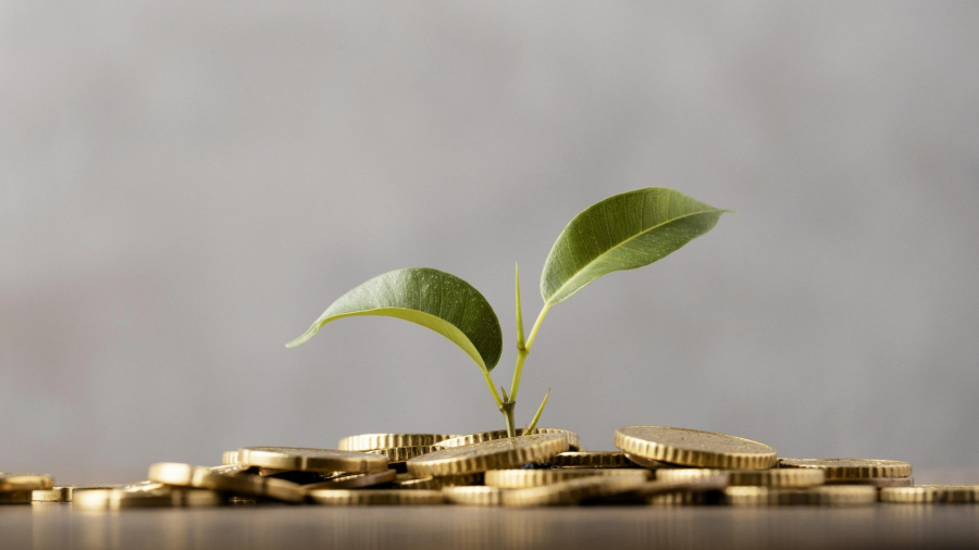 fi_130_mibol_elek_money_to_live