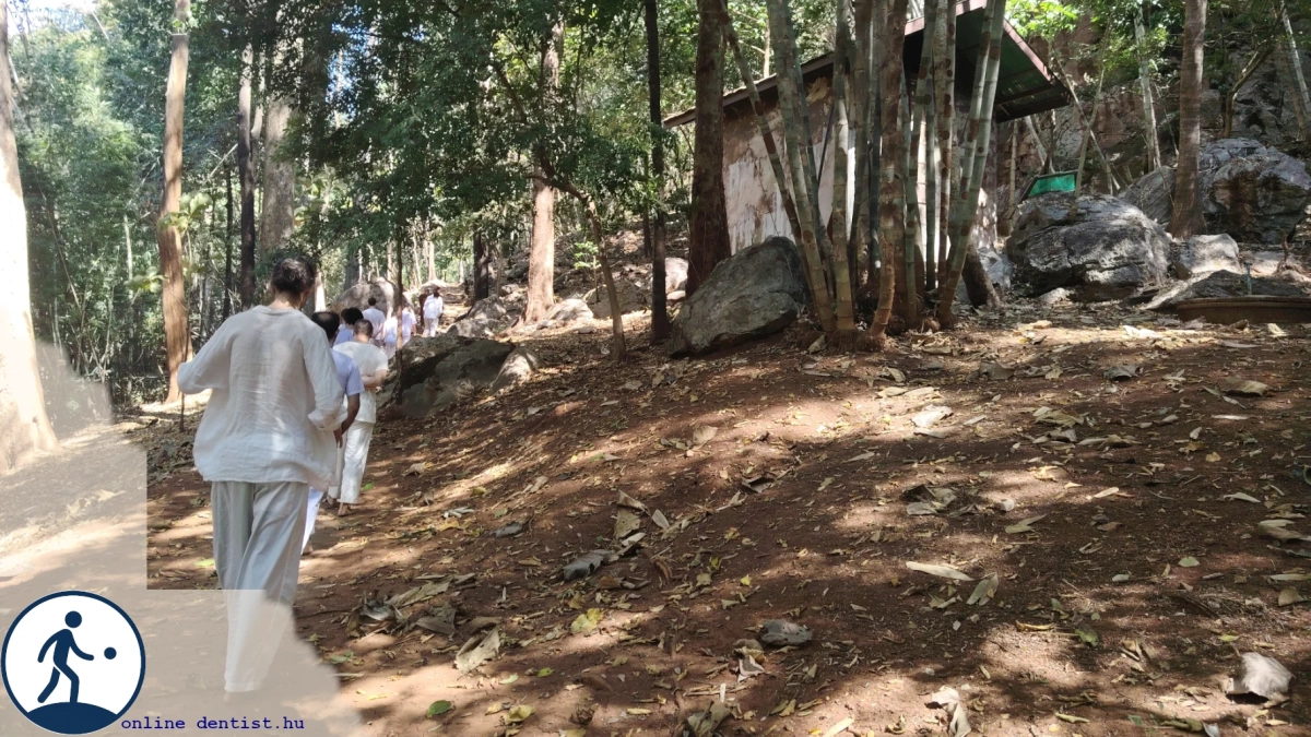 fi_221_maradok_i_stay