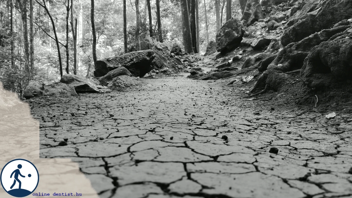 fi_222_meditation_road