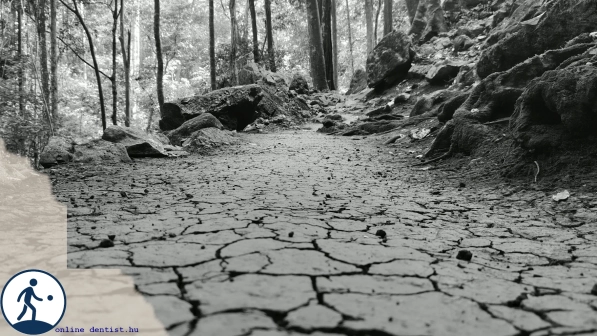 fi_222_meditation_road