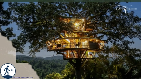 fi_241_gibbon_experience_I