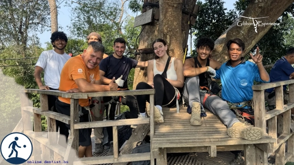 fi_245_gibbon_experience_iii